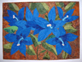 Blue Campanulas